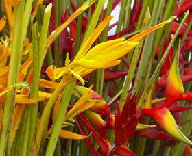 Parap Markets - Accommodation Sydney 1