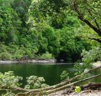 Broadwater Abergowrie State Forest - Sydney 4u