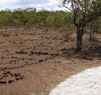 Wurrwurrwuy Garanhan Macassan Beach Interpretive Walk - Sydney Resort