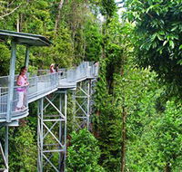 Mamu Tropical Skywalk