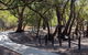 Nindigully Tourist And Visitor Area - thumb 1