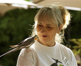 Catumnal ACT Accommodation Sydney