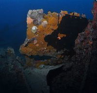 Lady Bowen Dive Site - Sydney 4u