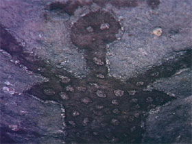 Quinkan Reserves Ancient Rock Art - Accommodation Sydney 0