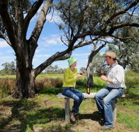 Restdown Wines and Walking Trail - Accommodation Sydney