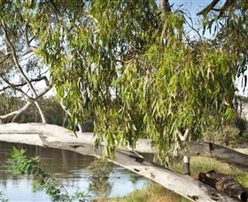Beach To Beach Riverside Walk - Sydney 4u 6