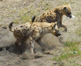 Darlington Point ACT Accommodation Sydney