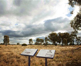 Backroads Trail - Accommodation Sydney 2