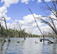 Murrumbidgee Valley National Park - Sydney 4u