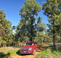 Forest drive - Sydney 4u