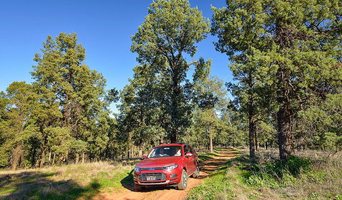 Forest Drive - Sydney 4u 0