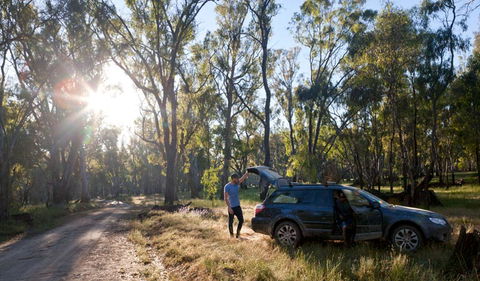 Forest Drive - Sydney 4u 1