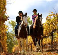 Billabong Ranch - Accommodation Sydney