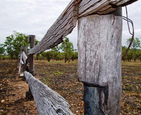 Oyala Thumotang National Park (CYPAL) - Accommodation Sydney 1