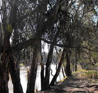 Mia Forest Drives Narrandera - Sydney 4u
