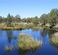 Narrandera Wetlands - Sydney 4u