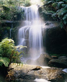 Mount Buangor State Park - Accommodation Sydney 0
