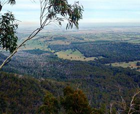 Mount Buangor State Park - Accommodation Sydney 2