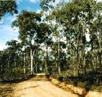 Paddys Ranges State Park - Accommodation Sydney