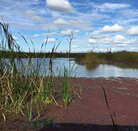Gwydir Wetlands - Accommodation Sydney