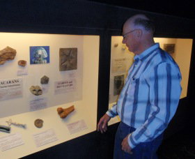 Big Fish Fossil Hut At Peak Hill - Sydney Resort 1