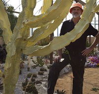 Cactus Country - Accommodation Sydney
