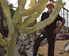 Cactus Country - Accommodation Sydney 0