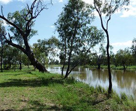 Seplin Estate Wines - Sydney Resort 1