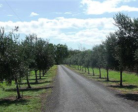 Seplin Estate Wines - Sydney Resort 3