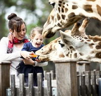 Taronga Western Plains Zoo Dubbo - Accommodation Sydney