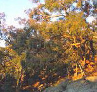 Mount Alexander Regional Park - Accommodation Sydney