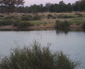 Savernake Day Tours - Accommodation Sydney 7