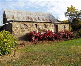 Lavandula Swiss/Italian Farm - Sydney 4u 0