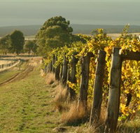 Captains Creek Organic Wines - Accommodation Sydney