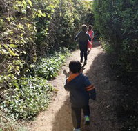 The Tangled Maze  Mistydowns Nursery - Accommodation Sydney