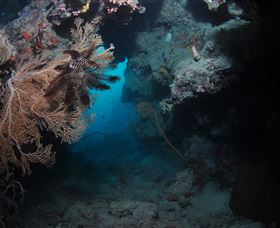 Luncheon Bay Dive Site - Accommodation Sydney 2
