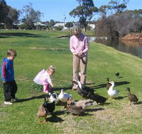 Roy Little Park Merredin - Accommodation Sydney