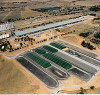Co-operative Bulk Handling CBH Wheat Storage and Transfer Depot - Accommodation Sydney