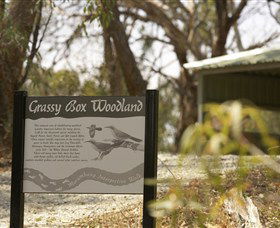 Coolamon NSW Accommodation Sydney