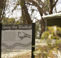 Kindra Forest - Accommodation Sydney
