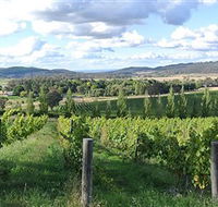 Sassy Wines - Accommodation Sydney