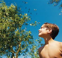 Bushwalking on Keswick Island - Accommodation Sydney