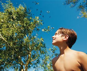 Bushwalking On Keswick Island - Accommodation Sydney 0