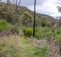 Lynchs loop trail - Accommodation Sydney