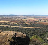 Basin Gully to Eualdrie lookout track - Accommodation Sydney