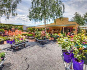 Springhill Nursery - Sydney 4u 2