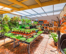 Springhill Nursery - Sydney 4u 3