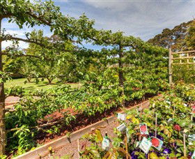 Springhill Nursery - Sydney 4u 5