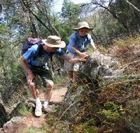 Mount Arthur Reserve - Sydney Resort