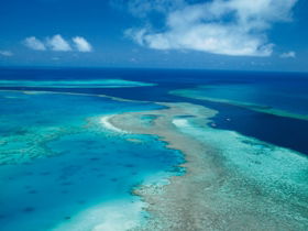 Fairey Reef - Accommodation Sydney 2
